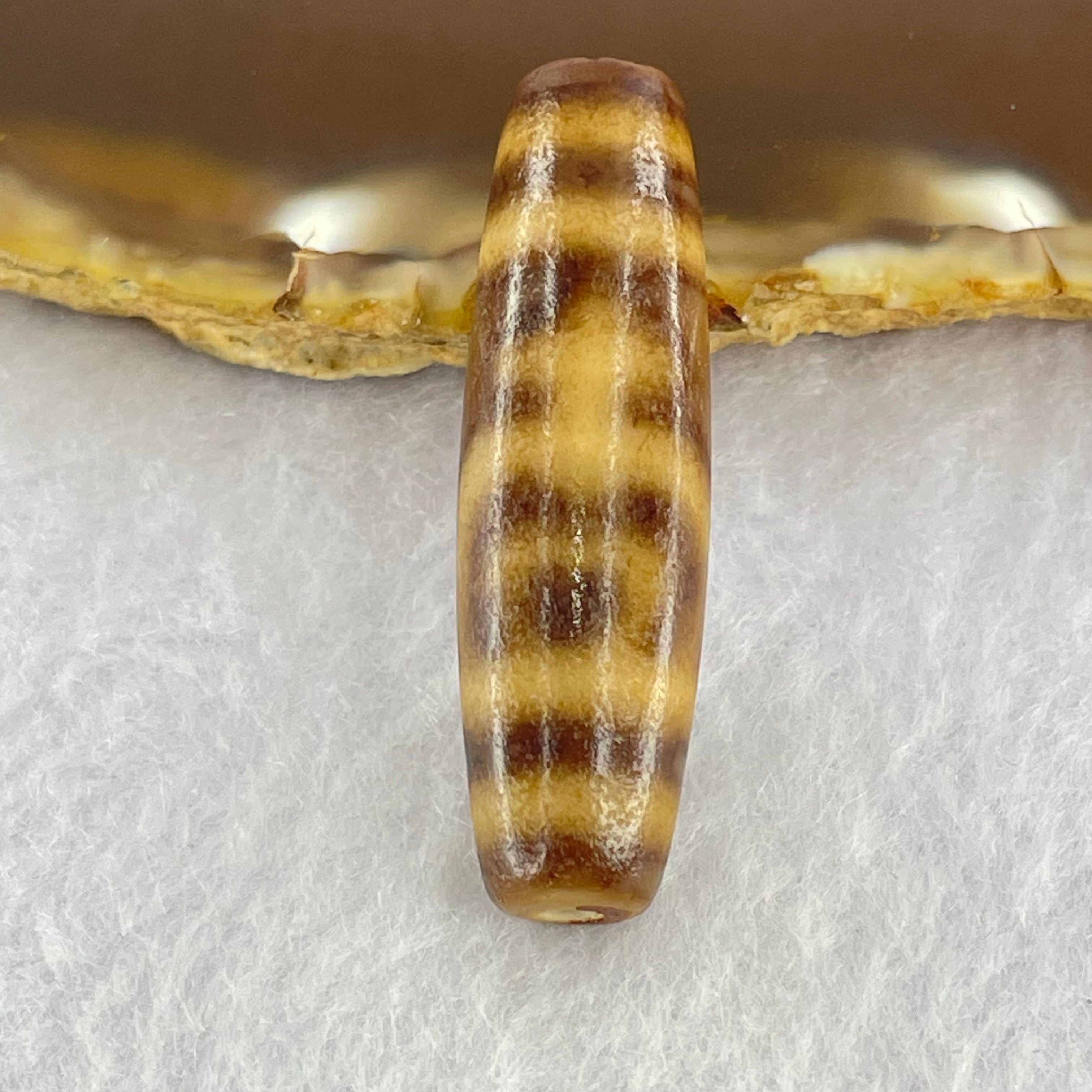 465天珠 双虎牙天珠 dzibeads！ 老山腳至純老牙黃雙虎牙天珠yzi395