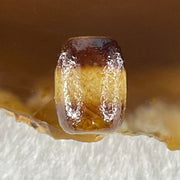 Natural Powerful Tibetan Old Oily Agate One Line Dzi Bead Heavenly Master (Tian Zhu) 1.46g 11.6 by 8.8mm - Huangs Jadeite and Jewelry Pte Ltd