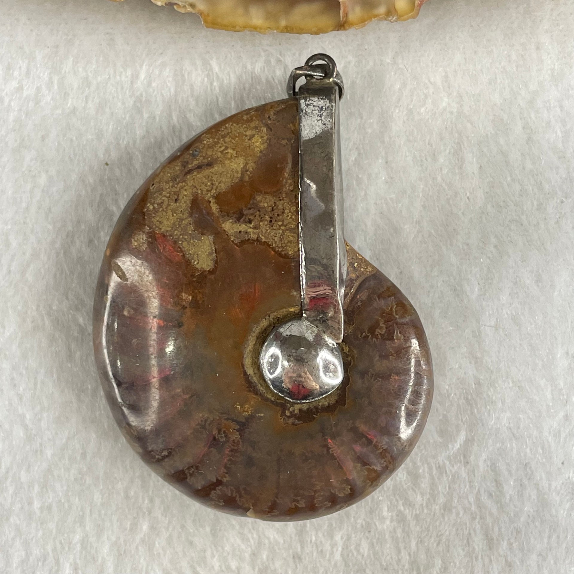 Natural Ammonite Fossil in Silver Pendant 32.29g 47.0 by 38.4 by 15.5mm - Huangs Jadeite and Jewelry Pte Ltd