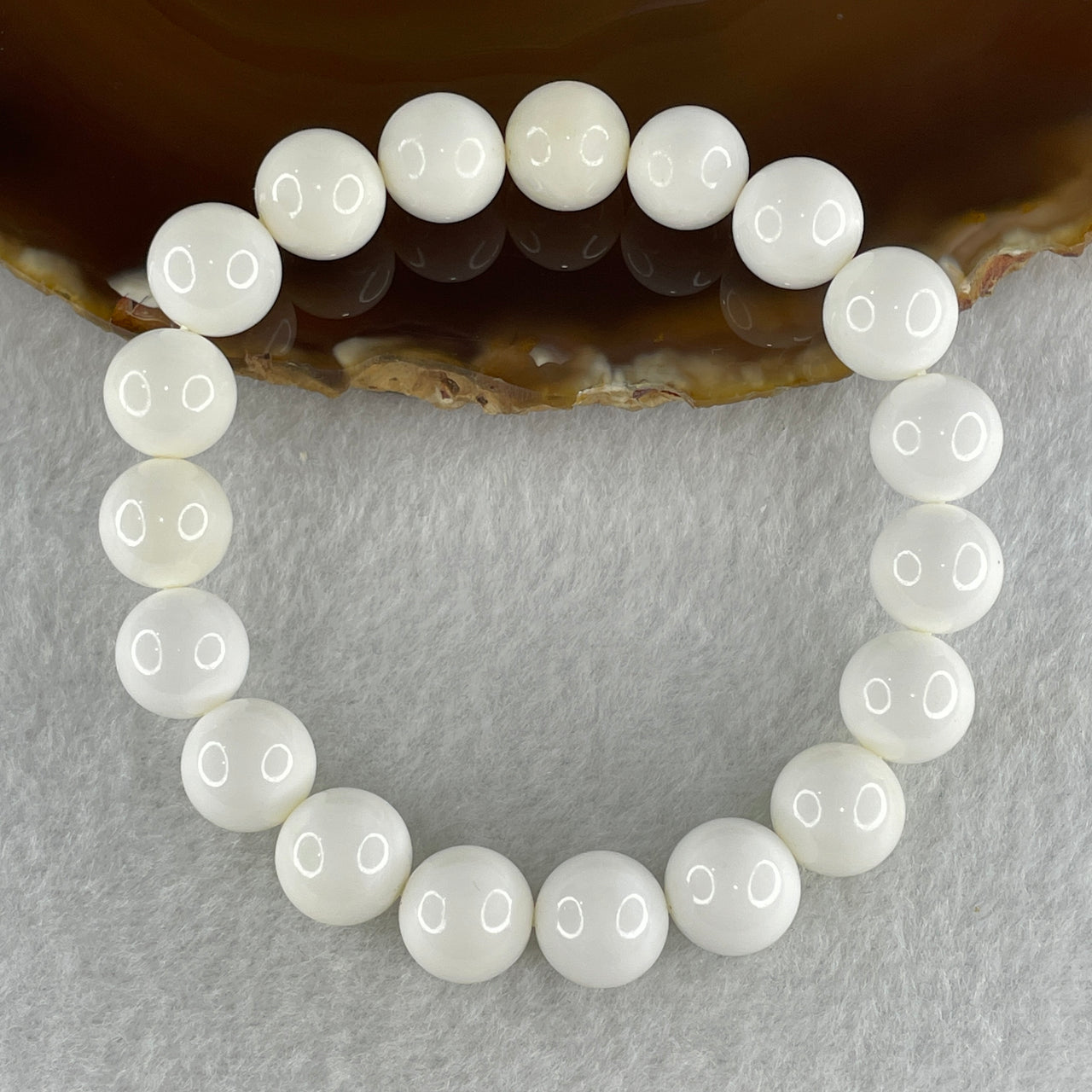 Natural Tridacna Sea Shell Beads Bracelet 32.84g 16cm 10.5mm 19 Beads