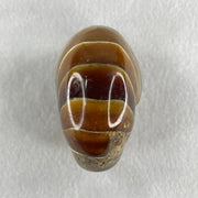 Natural Ammonite Ammonoid Fossil with Wooden Stand 288.6g 88.8 by 69.5 by 101.7mm - Huangs Jadeite and Jewelry Pte Ltd