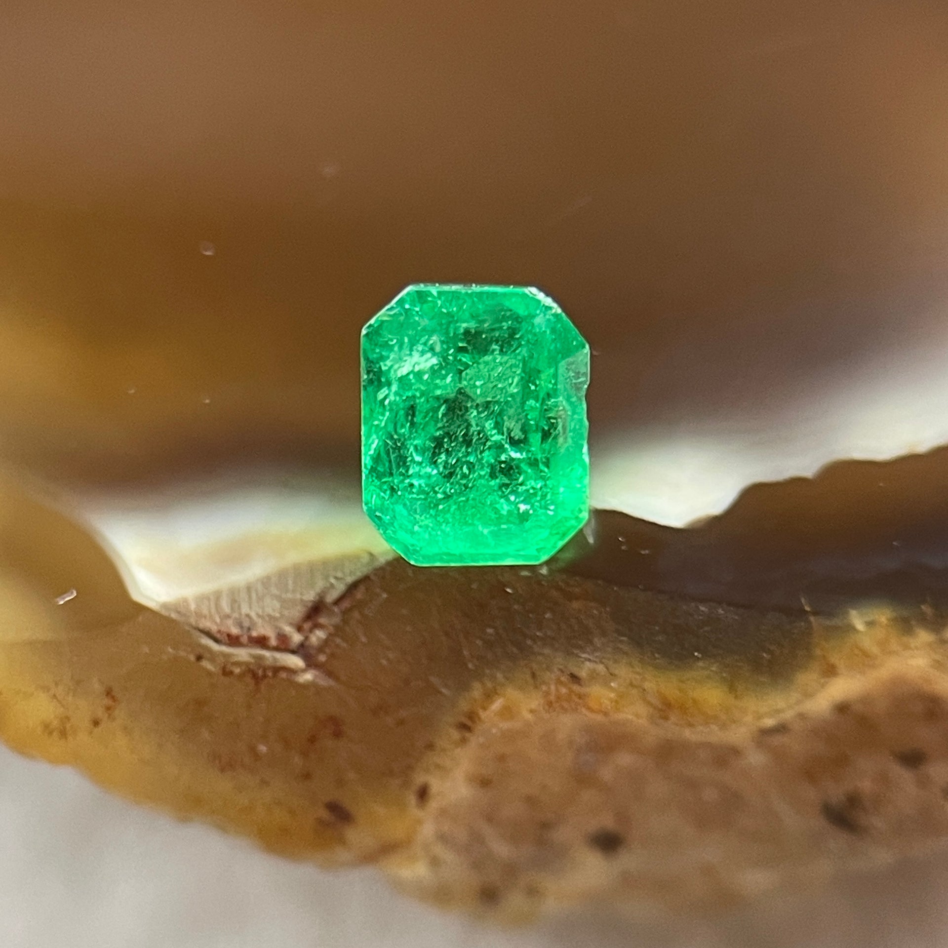 Natural Colombia Vivid Green Emerald (Beryl) Cut-Cornered Rectangular Step cut 0.42ct 4.8 by 3.7 by 3.2mm - Huangs Jadeite and Jewelry Pte Ltd