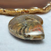 Natural Ammolite Fossil Display 75.66g 61.8 by 51.8 by 19.2mm - Huangs Jadeite and Jewelry Pte Ltd