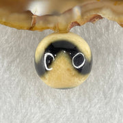 Natural Powerful Tibetan Old Oily Yellowish White with Black Agate Tiger Tooth Daluo Dzi Bead Heavenly Master (Tian Zhu) 虎呀天诛 3.56g 13.7mm - Huangs Jadeite and Jewelry Pte Ltd