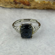 Natural Labradorite Pixiu in S925 Sliver Ring (Adjustable Size) 2.05g 9.7 by 8.3 by 5.4mm - Huangs Jadeite and Jewelry Pte Ltd