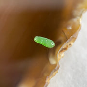 Type A Old Mine Full Green Jadeite Peapod Charm Stone For Setting 0.04g 8.8 by 3.4 by 1.9mm - Huangs Jadeite and Jewelry Pte Ltd