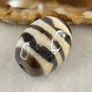 Natural Powerful Tibetan Old Oily Agate Double Tiger Tooth Daluo Dzi Bead Heavenly Master (Tian Zhu) 7.48g 20.4 by 16.2mm - Huangs Jadeite and Jewelry Pte Ltd