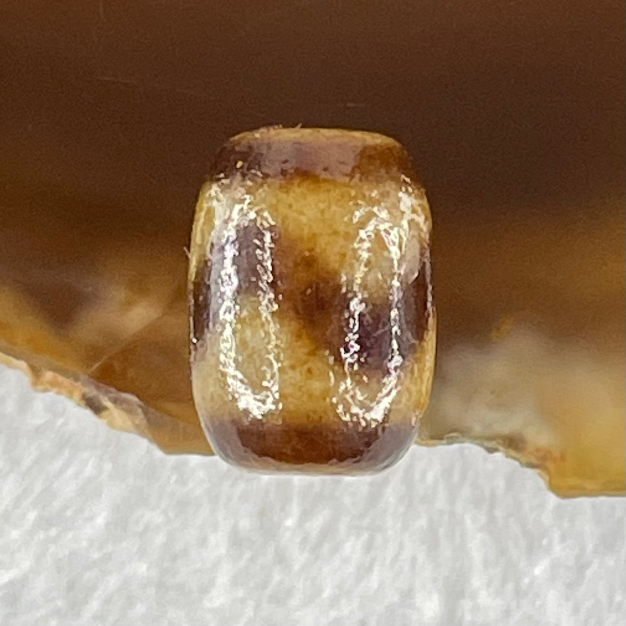 Natural Powerful Tibetan Old Oily Agate Tiger Tooth Daluo Dzi Bead Heavenly Master (Tian Zhu) 1.54g 12.1 by 8.7mm - Huangs Jadeite and Jewelry Pte Ltd