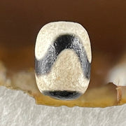 Natural Powerful Tibetan Old Oily Agate Tiger Tooth Daluo Dzi Bead Heavenly Master (Tian Zhu) 2.20g 14.0 by 10.1mm - Huangs Jadeite and Jewelry Pte Ltd