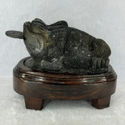Rare Natural Tibetan Meteorite Tektite 3 Legged Toad with Wooden Stand Display 2,345.1g 170.0 by 118.0 by 125.0mm - Huangs Jadeite and Jewelry Pte Ltd