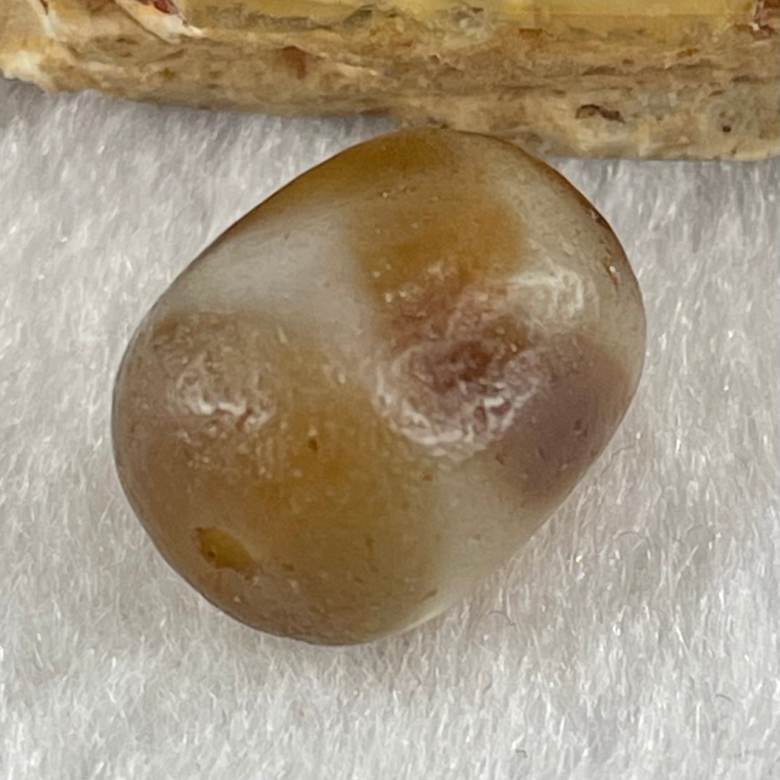 Natural Powerful Tibetan Old Oily Agate Tiger Tooth Daluo Dzi Bead Heavenly Master (Tian Zhu) 虎呀天诛 2.62g 13.8 by 11.0mm - Huangs Jadeite and Jewelry Pte Ltd