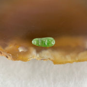 Type A Old Mine Full Green Jadeite Peapod Charm Stone For Setting 0.12g 8.8 by 3.5 by 1.5mm - Huangs Jadeite and Jewelry Pte Ltd