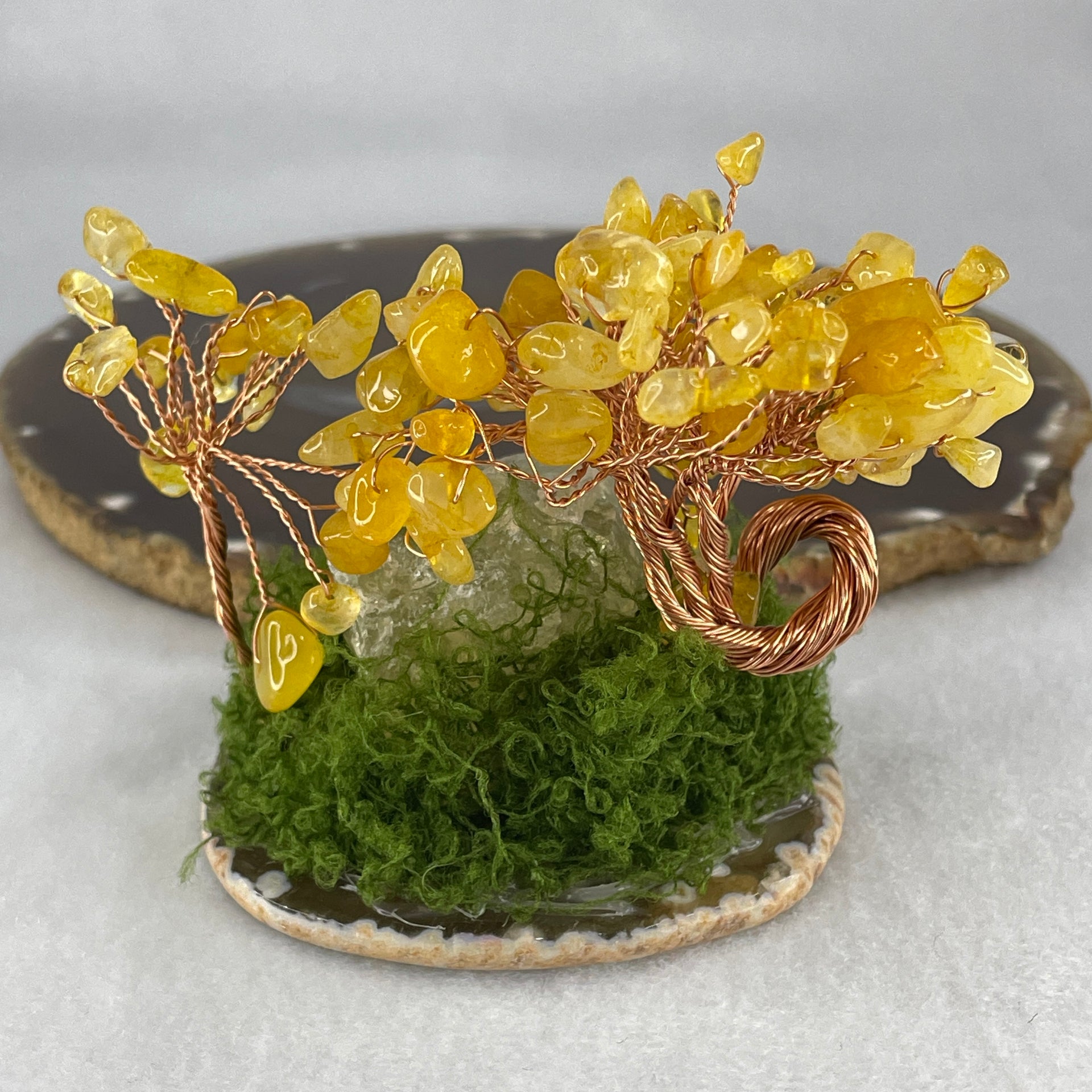 Natural Citrine Money Tree with Rough Citrine Display 139.62g 90.2 by 66.8 by 74.4mm - Huangs Jadeite and Jewelry Pte Ltd