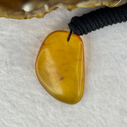 Natural Amber Pendent 天然琥珀牌 5.52g 35.8 by 24.0 by 7.4mm - Huangs Jadeite and Jewelry Pte Ltd