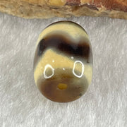 Natural Powerful Tibetan Old Oily Agate Tiger Tooth Daluo Dzi Bead Heavenly Master (Tian Zhu) 虎呀天诛 2.30g 13.1 by 10.1mm - Huangs Jadeite and Jewelry Pte Ltd