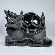Natural Black Onyx Long Gui Dragon Tortoise Display 15.497,0g 190.0 by 315.0 by 225.0mm - Huangs Jadeite and Jewelry Pte Ltd
