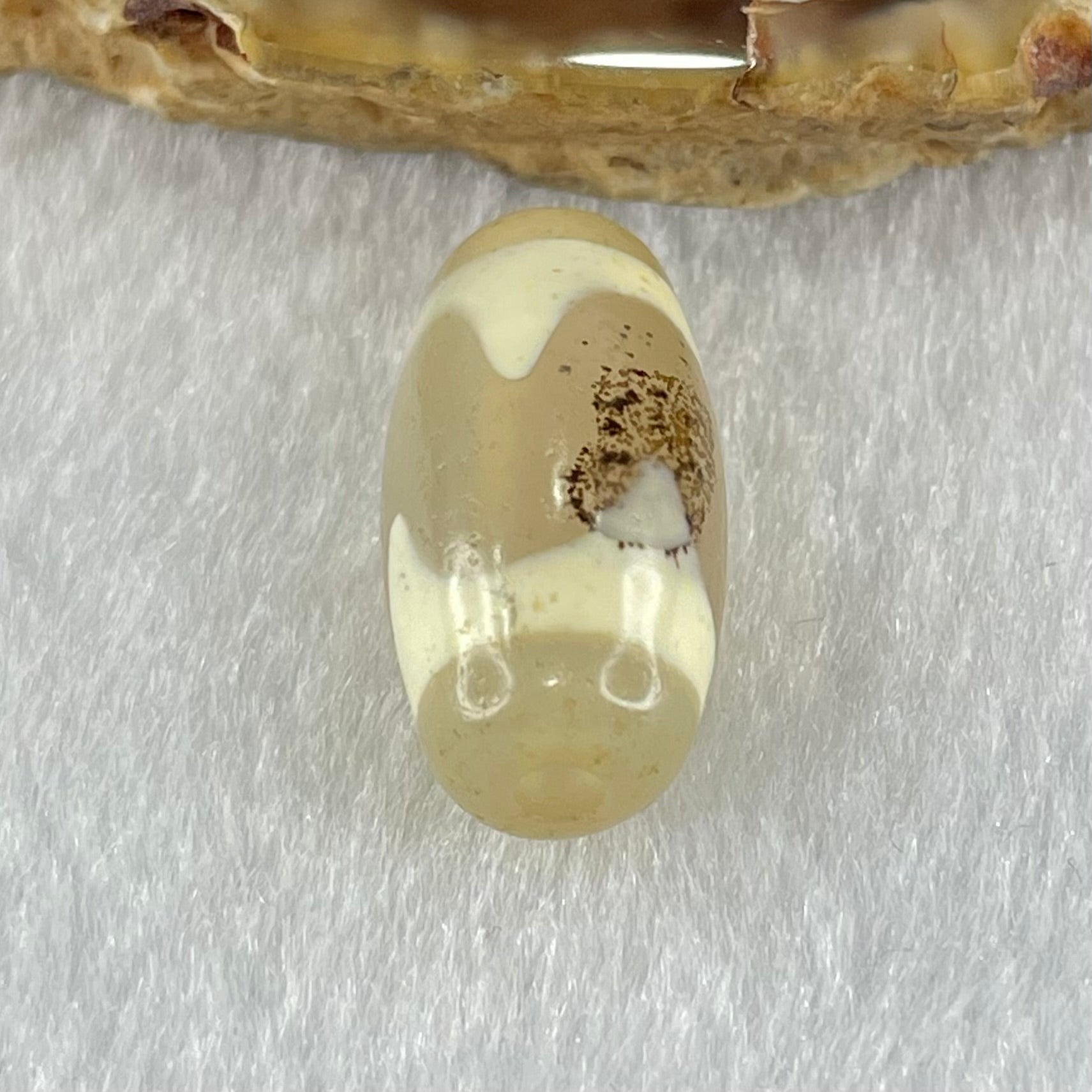 Natural Powerful Tibetan Old Oily Agate Tiger Tooth Daluo Dzi Bead Heavenly Master (Tian Zhu) 虎呀天诛 3.00g 20.1 by 10.1mm - Huangs Jadeite and Jewelry Pte Ltd