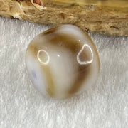 Natural Powerful Tibetan Old Oily Agate Tiger Tooth Daluo Dzi Bead Heavenly Master (Tian Zhu) 1.82g 9.7 by 10.8mm - Huangs Jadeite and Jewelry Pte Ltd