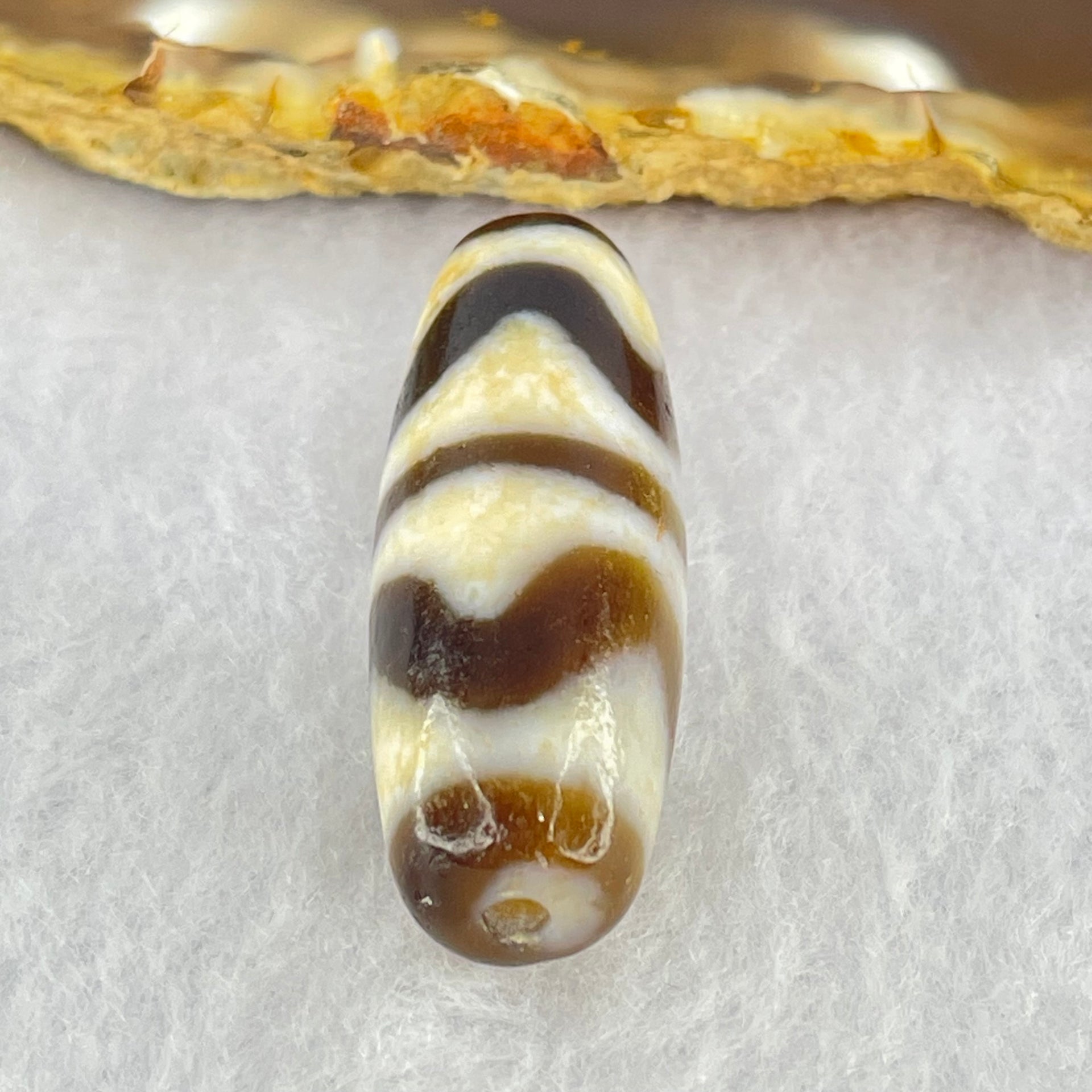 Natural Powerful Tibetan Old Oily Dark Brown White Yellow Agate Double Tiger Tooth Daluo Dzi Bead Heavenly Master (Tian Zhu) 双虎呀天诛 9.53g 36.8 by 13.1mm - Huangs Jadeite and Jewelry Pte Ltd