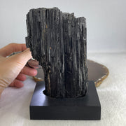 Natural Black Tourmaline Display with Wooden Stand 849.37g 94.6 by 74.8 by 135.0mm - Huangs Jadeite and Jewelry Pte Ltd