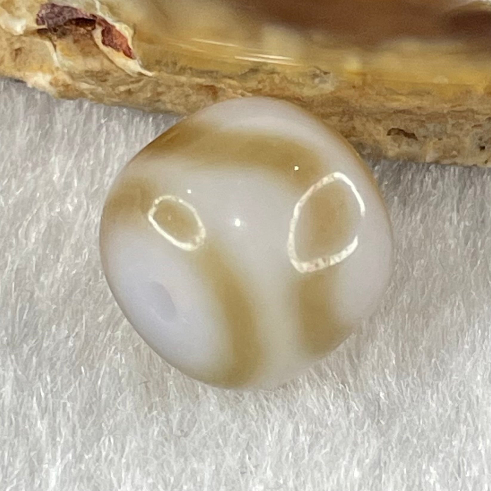 Natural Powerful Tibetan Old Oily Agate Tiger Tooth Daluo Dzi Bead Heavenly Master (Tian Zhu) 2.01g 9.6 by 11.3mm - Huangs Jadeite and Jewelry Pte Ltd