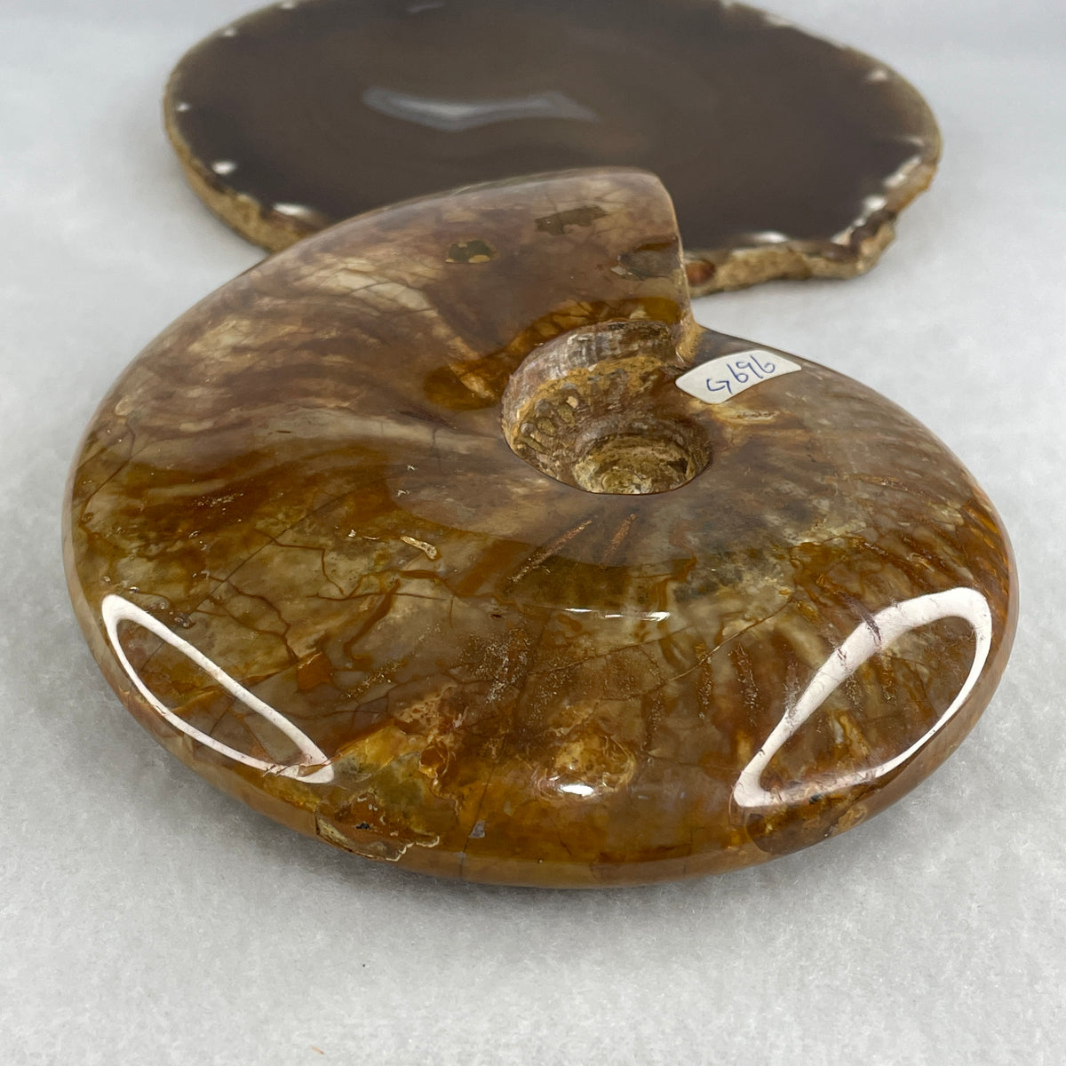Natural Ammonite Ammonoid Fossil Display Specimen | 150.0mm Ancient Suture Spiral Matrix (695.7g | Each About 150.0x119.0x36.0mm)