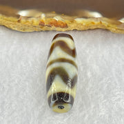 Natural Powerful Tibetan Old Oily Dark Brown White Yellow Agate Double Tiger Tooth Daluo Dzi Bead Heavenly Master (Tian Zhu) 双虎呀天诛 9.79g 37.6 by 13.0mm - Huangs Jadeite and Jewelry Pte Ltd