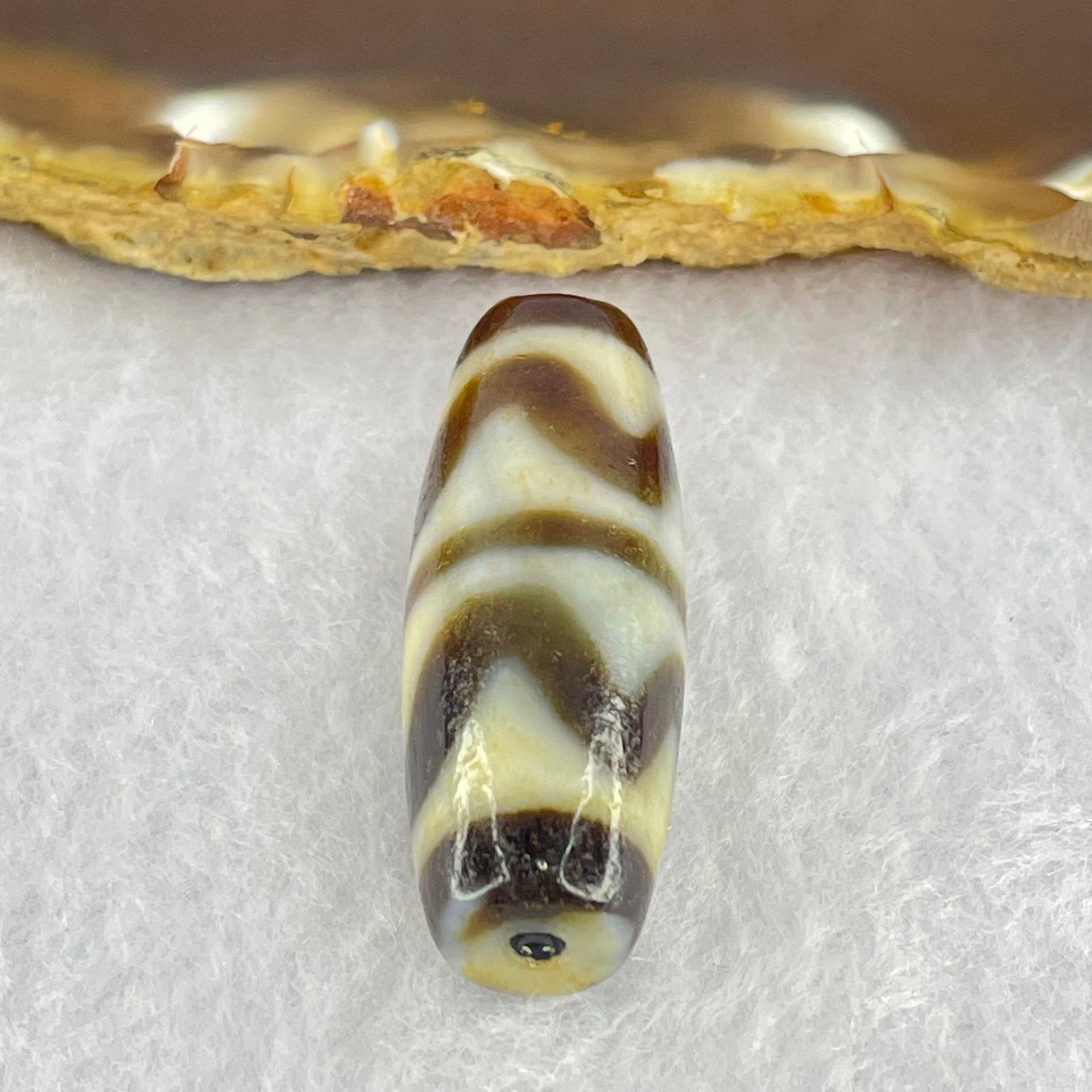 Natural Powerful Tibetan Old Oily Dark Brown White Yellow Agate Double Tiger Tooth Daluo Dzi Bead Heavenly Master (Tian Zhu) 双虎呀天诛 9.79g 37.6 by 13.0mm - Huangs Jadeite and Jewelry Pte Ltd