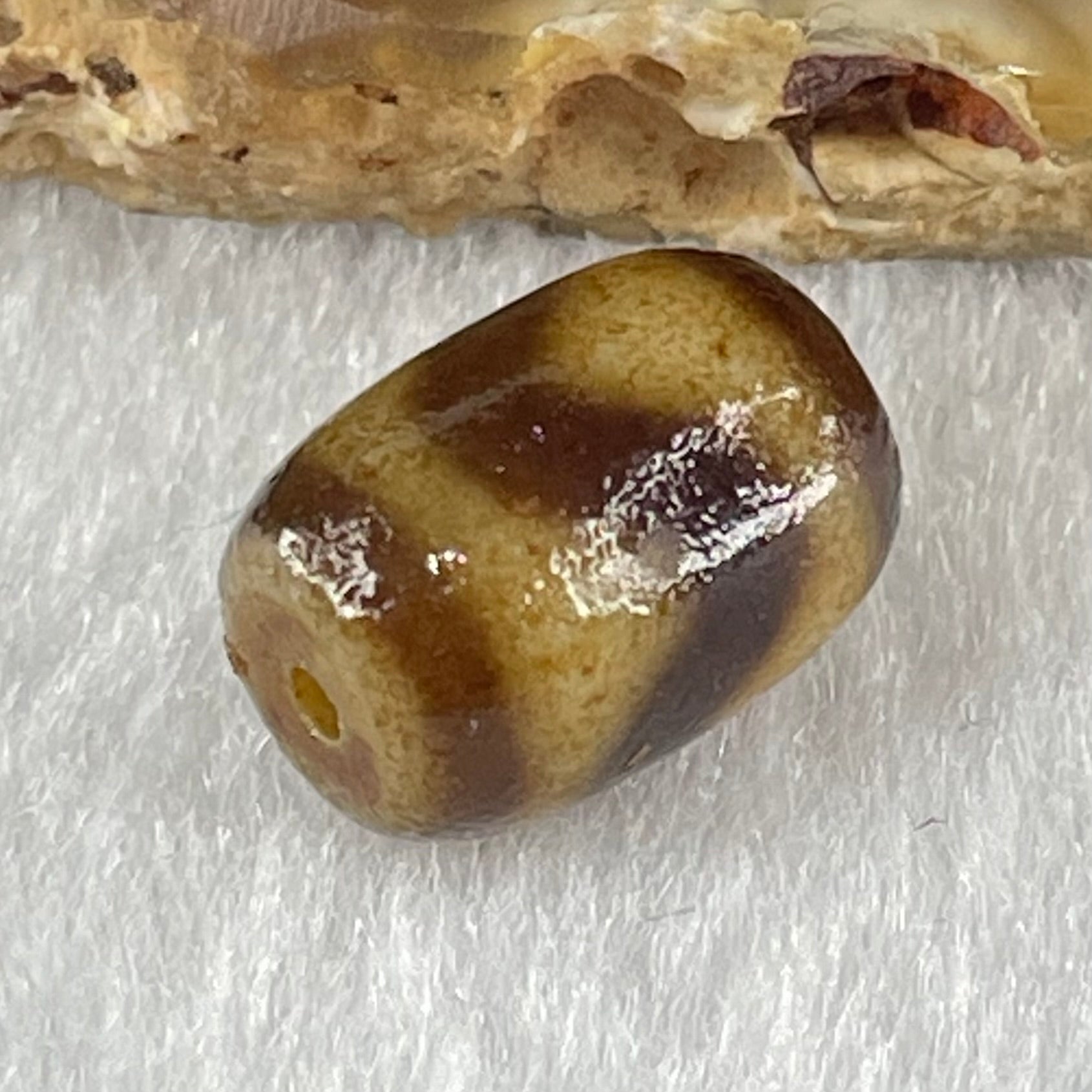Natural Powerful Tibetan Old Oily Agate Tiger Tooth Daluo Dzi Bead Heavenly Master (Tian Zhu) 1.54g 12.1 by 8.7mm - Huangs Jadeite and Jewelry Pte Ltd