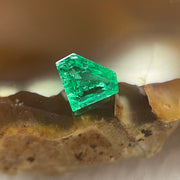 Natural Colombia Vivid Green Emerald (Beryl) Cut-Cornered Grace Step cut 0.30ct 5.7 by 4.4 by 2.5mm - Huangs Jadeite and Jewelry Pte Ltd