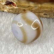 Natural Powerful Tibetan Old Oily Agate Tiger Tooth Daluo Dzi Bead Heavenly Master (Tian Zhu) 2.08g 9.8 by 11.4mm - Huangs Jadeite and Jewelry Pte Ltd