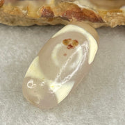 Natural Powerful Tibetan Old Oily Agate Tiger Tooth Daluo Dzi Bead Heavenly Master (Tian Zhu) 虎呀天诛 5.04g 17.7 by 13.4mm - Huangs Jadeite and Jewelry Pte Ltd