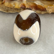 Natural Powerful Tibetan Old Oily Agate Tiger Tooth Daluo Dzi Bead Heavenly Master (Tian Zhu) 虎呀天诛 4.40g 17.4 by 12.9mm - Huangs Jadeite and Jewelry Pte Ltd