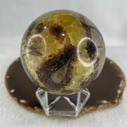 Natural Septarian Stone Ball with Clear Acrylic Display 603.31g 75.0 by 95.0mm - Huangs Jadeite and Jewelry Pte Ltd