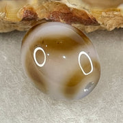 Natural Powerful Tibetan Old Oily Agate Tiger Tooth Daluo Dzi Bead Heavenly Master (Tian Zhu) 2.84g 14.5 by 12.0mm - Huangs Jadeite and Jewelry Pte Ltd