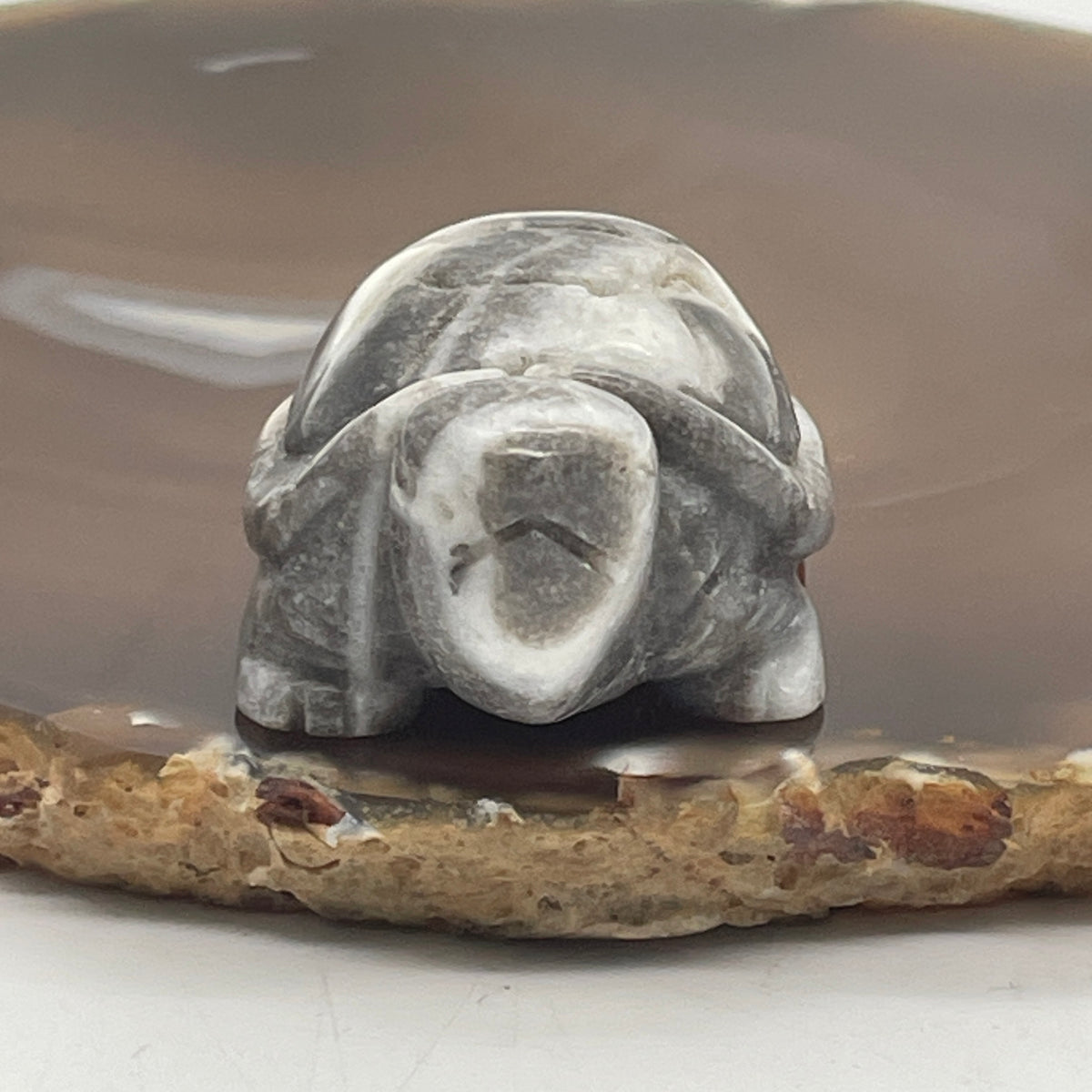Natural Greyish with White Agate Turtle Mini Display Specimen | (47.84g | 49.2 x 32.8 x 24.8mm Dimensions | Root & Crown Chakra Synergy, Longevity Anchor, Mindful Stability & Feng Shui Protection Catalyst)