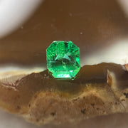 Natural Colombia Vivid Green Emerald (Beryl) Cut-Cornered Rectangular Step cut 0.45ct 4.8 by 4.3 by 3.3mm - Huangs Jadeite and Jewelry Pte Ltd