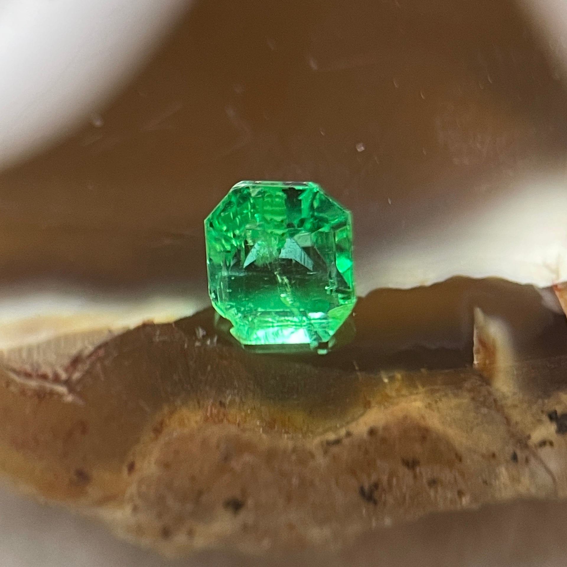 Natural Colombia Vivid Green Emerald (Beryl) Cut-Cornered Rectangular Step cut 0.45ct 4.8 by 4.3 by 3.3mm - Huangs Jadeite and Jewelry Pte Ltd