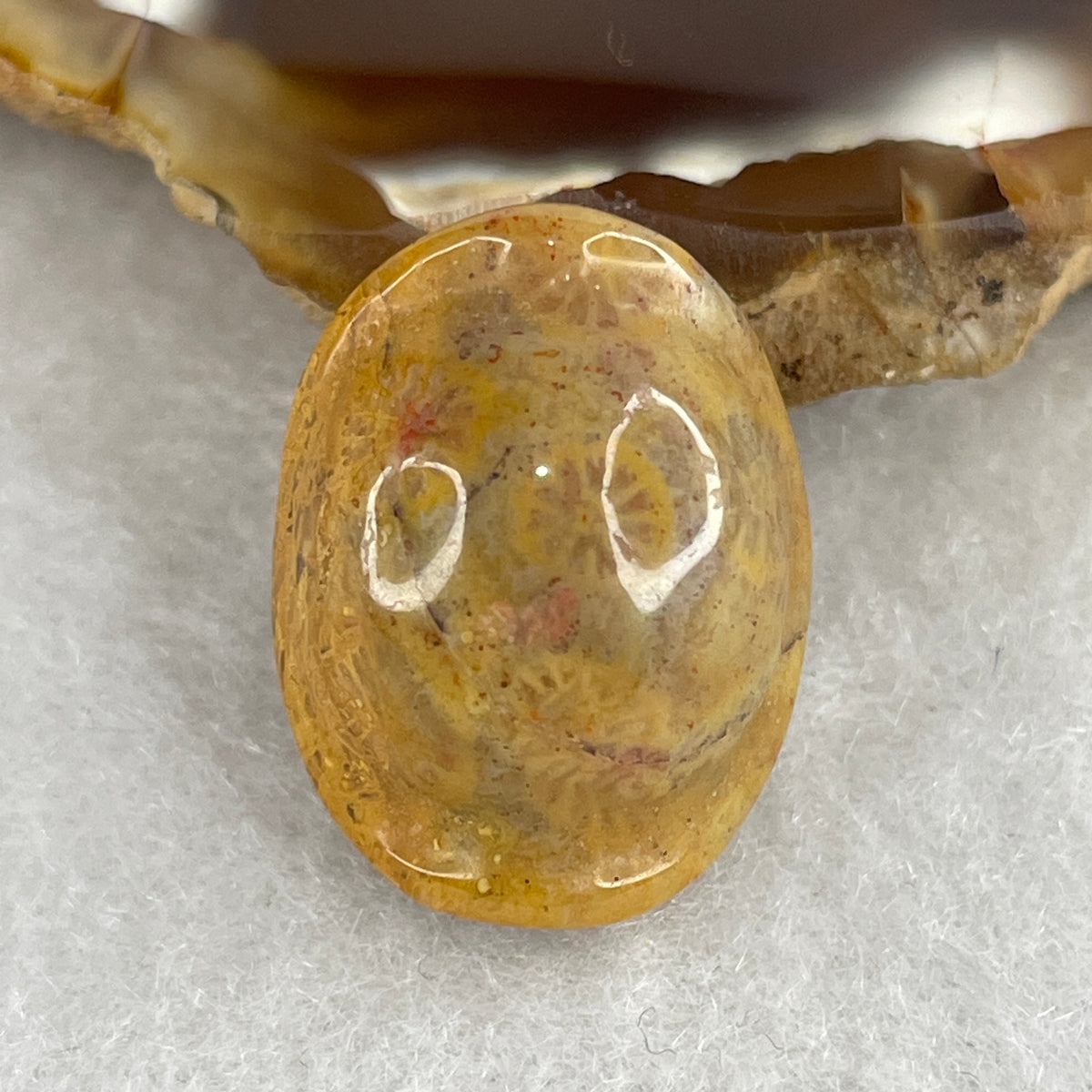 Natural Agatized Fossil Coral Turtle Shell Charm Pendant | Carved Longevity & Protection Talisman (3.93g | 19.7 x 15.1 x 10.8mm)