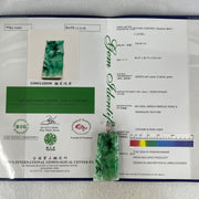 Antique Natural Type A Translucent Light Green with Old Mine Spicy Green and Dark Green Piao Hua Jadeite Bamboo and Twin Birds approx. 46.97 by 26.74 by 9.64mm in 18K White Gold and Natural Diamond Pendant 34.95g (108.66cts) BIG Cert. B010996 - Huangs Jadeite and Jewelry Pte Ltd