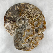 Natural Ammonite Ammonoid Fossil with Wooden Stand - Huangs Jadeite and Jewelry Pte Ltd