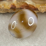 Natural Powerful Tibetan Old Oily Agate Tiger Tooth Daluo Dzi Bead Heavenly Master (Tian Zhu) 2.84g 14.5 by 12.0mm - Huangs Jadeite and Jewelry Pte Ltd