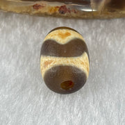 Natural Powerful Tibetan Old Oily Dark Brown Yellow Agate Tiger Tooth Daluo Dzi Bead Heavenly Master (Tian Zhu) 1.98g 13.7 by 9.8mm - Huangs Jadeite and Jewelry Pte Ltd
