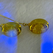 Natural Golden Yellow Amber Ping An Kou Donut Silver in Gold Color Earrings 2.36g 15.0 by 6.7mm - Huangs Jadeite and Jewelry Pte Ltd