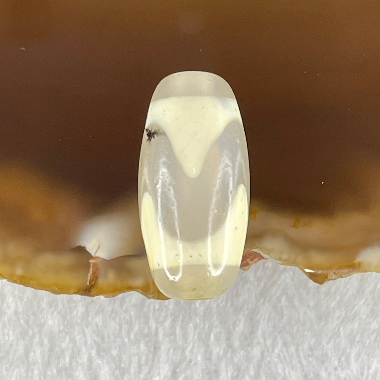 Natural Powerful Tibetan Old Oily Agate Tiger Tooth Daluo Dzi Bead Heavenly Master (Tian Zhu) 虎呀天诛 2.71g 20.0 by 9.9mm - Huangs Jadeite and Jewelry Pte Ltd