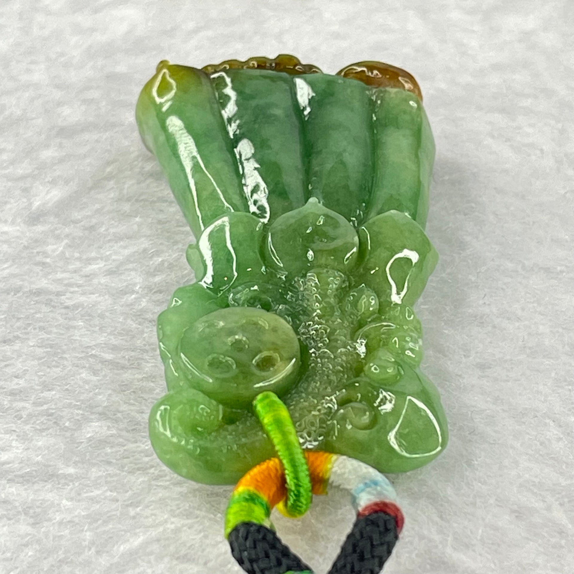 Type A Full Bright Spicy Green and Brown Jadeite Flower Dragonfly Ruyi Coin 17.01g 42.4 by 24.3 by 9.2mm - Huangs Jadeite and Jewelry Pte Ltd