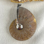 Natural Ammonite Fossil in Silver Pendant 71.05g 62.6 by 51.9 by 17.4mm - Huangs Jadeite and Jewelry Pte Ltd