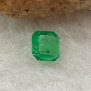 Natural Colombia Vivid Green Emerald (Beryl) Cut-Cornered Square Step cut 0.41ct 4.8 by 4.8 by 2.4mm - Huangs Jadeite and Jewelry Pte Ltd