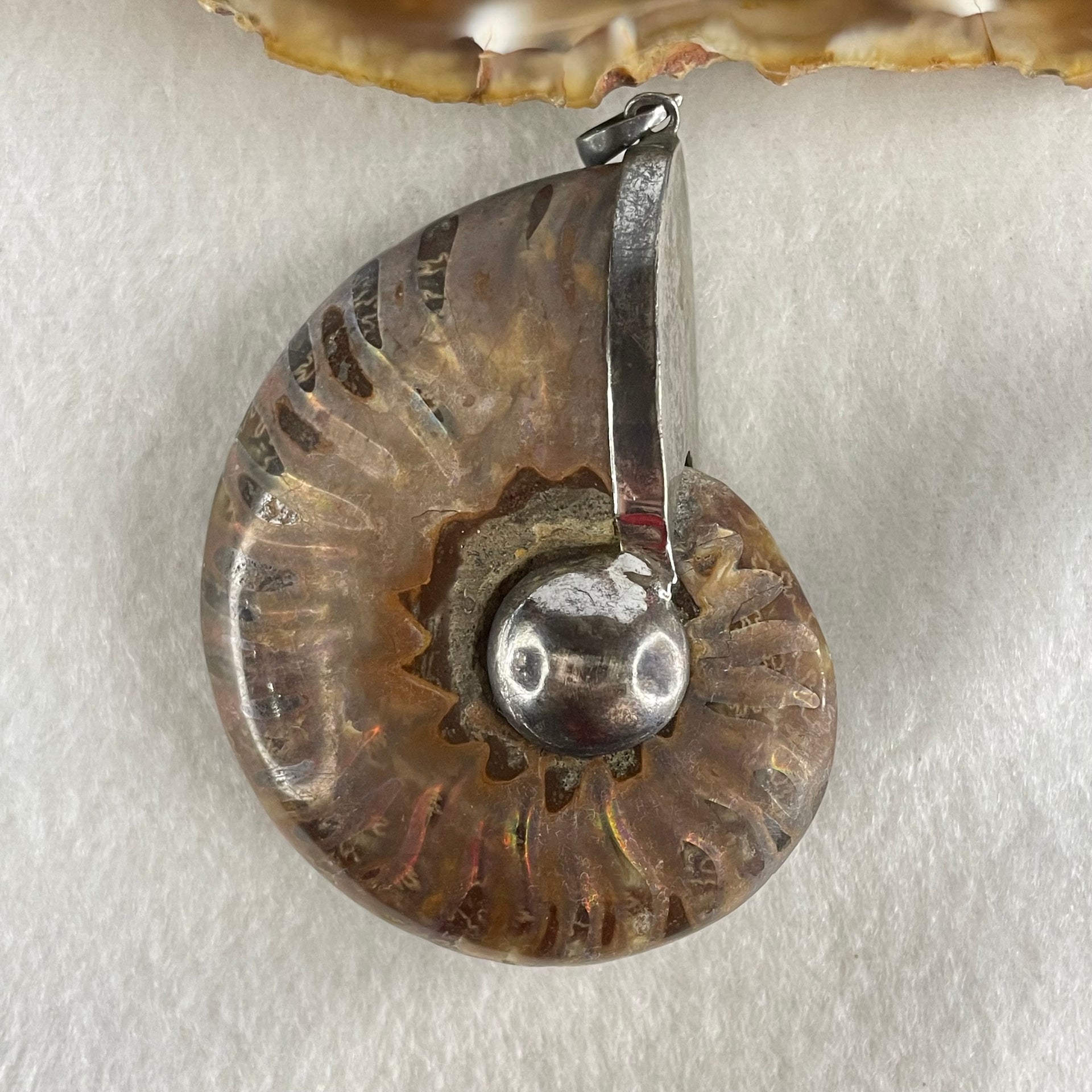 Natural Ammonite Fossil in Silver Pendant 61.42g 56.0 by 44.4 by 18.4mm - Huangs Jadeite and Jewelry Pte Ltd