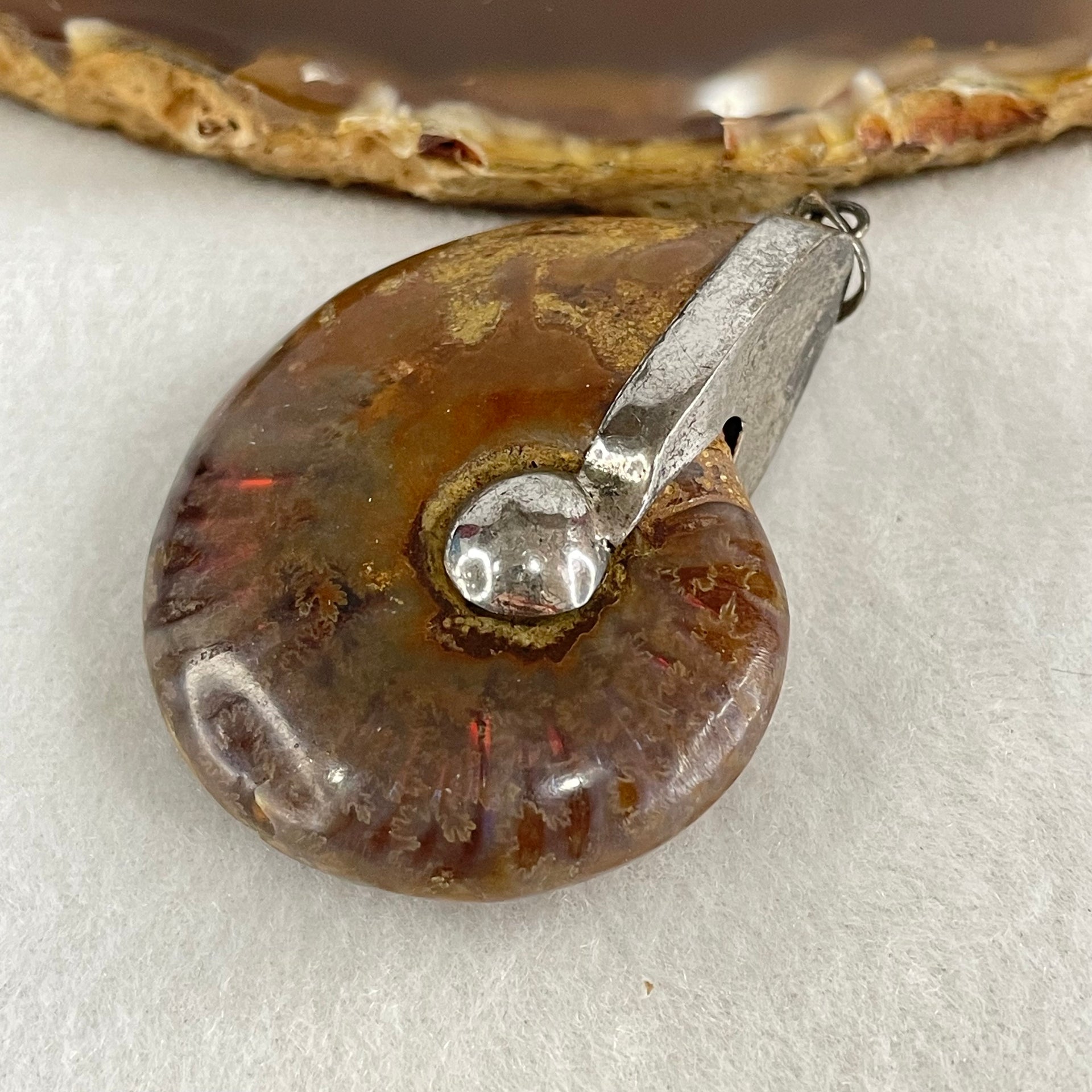 Natural Ammonite Fossil in Silver Pendant 32.29g 47.0 by 38.4 by 15.5mm - Huangs Jadeite and Jewelry Pte Ltd